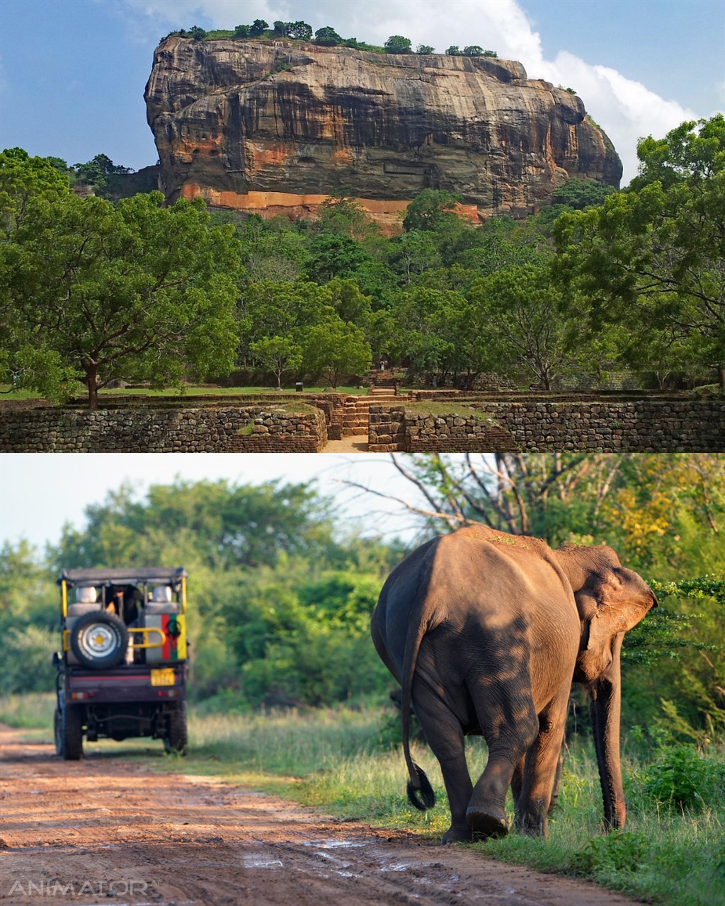 Sri Lanka - Ciało w Harmonii 